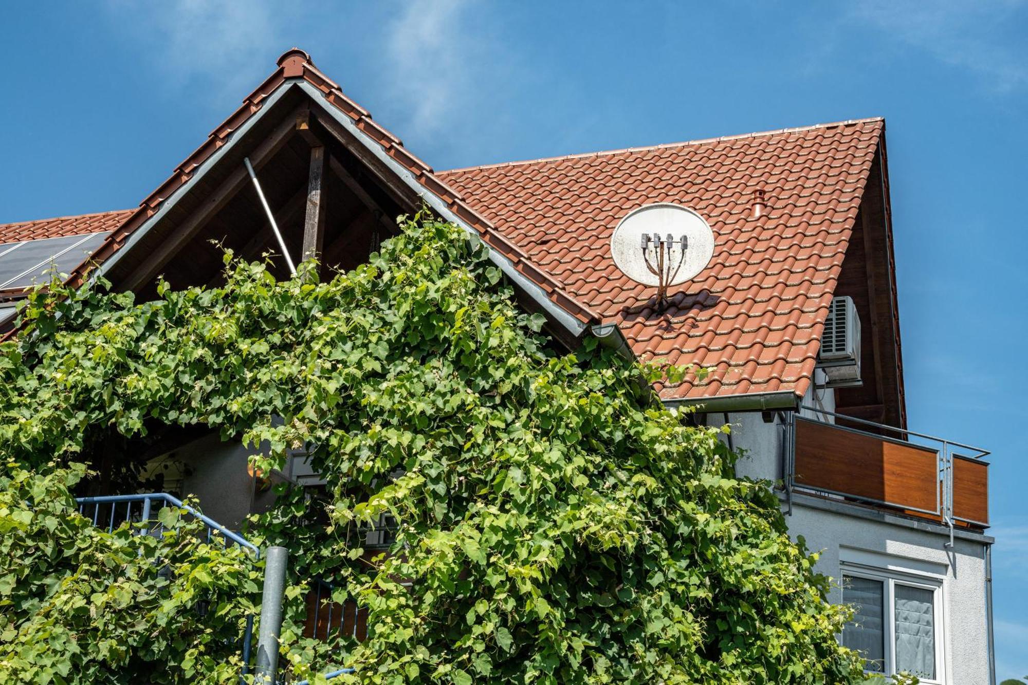 Ferienwohnung Leon Kappel-Grafenhausen Exterior foto
